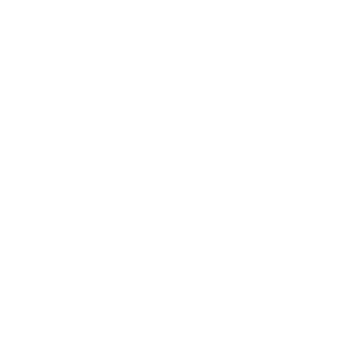 RBW Logo White No BG 500x500