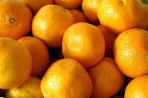 The Logistics Of Oranges